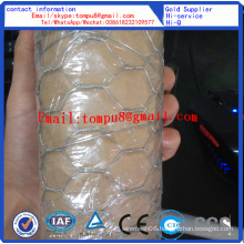 Hexagonal Wire Mesh PVC and Galvanized